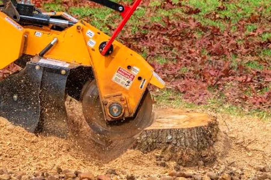 Ground stump and fresh chips in a Belle Meade, TN yard